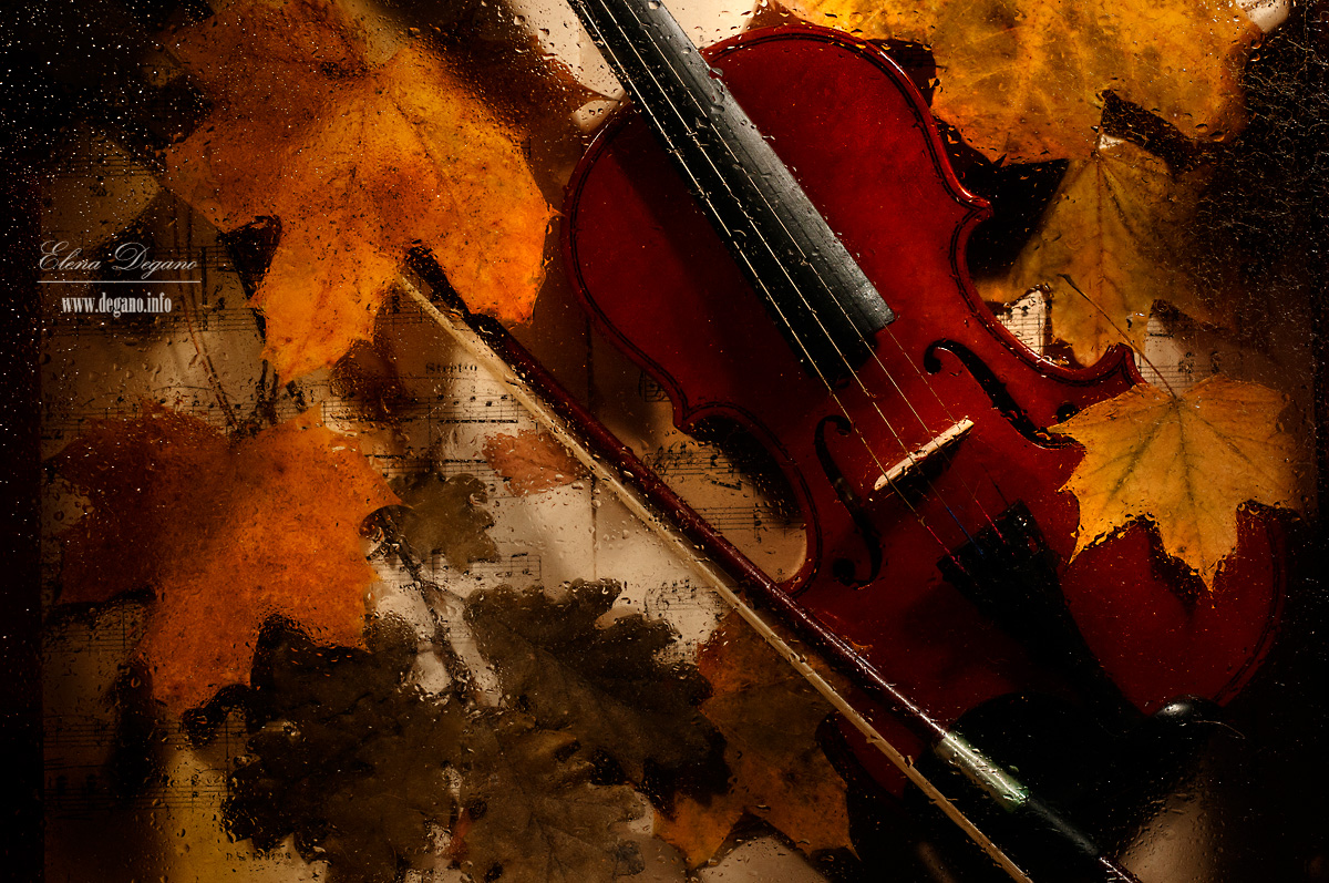 Violino e le foglie attraverso gocce d'acqua